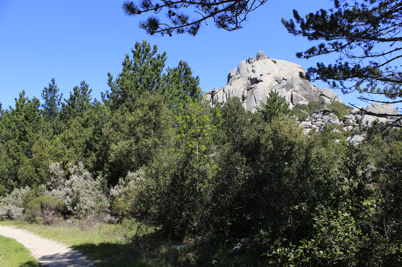 2016-05-05_120716 sardinien-2016.jpg - Wanderung im Monte-Limbara-Gebirge